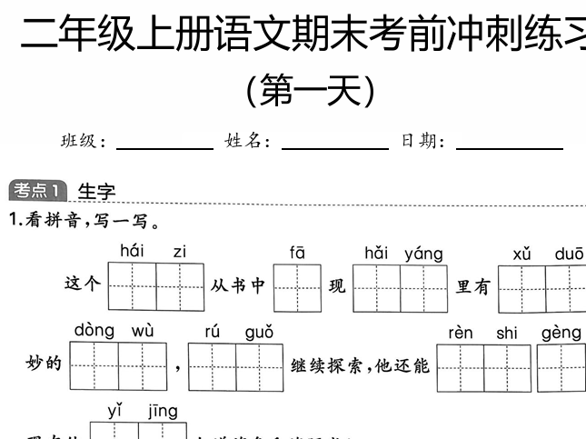 55c91323-c722-4bc7-8483-ce9cda0f9bf0